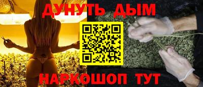 a pvp Славгород